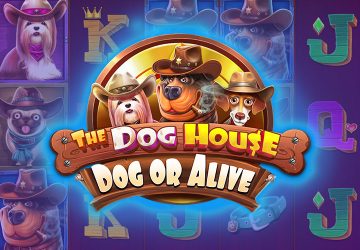 Игра The Dog House Dog Or Alive в МелБет казино
